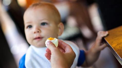 when-can-a-baby-eat-eggs-recommendations-risks-and image