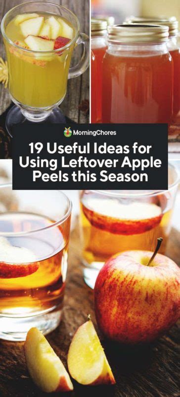 19-useful-ideas-for-using-leftover-apple-peels-this image
