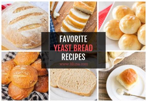 15-best-yeast-bread-recipes-bread image
