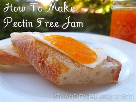 how-to-make-pectin-free-jam-ditch-the-box-and image