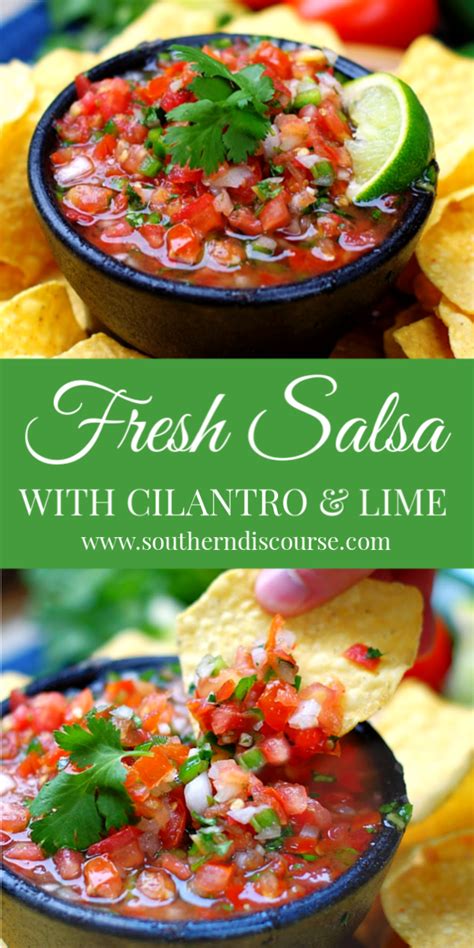fresh-salsa-with-cilantro-lime-southern-discourse image