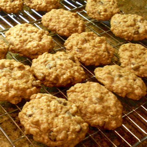 best-oatmeal-chocolate-chip-cookies-something-new-for-dinner image