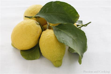 sorbetto-al-limone-e-rosmarino-lemon-and-rosemary image