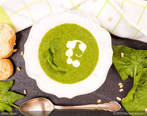 chilled-spinach-yogurt-soup image