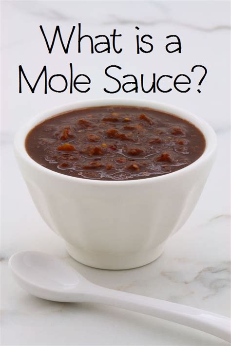 what-is-a-mole-sauce-anyway-revuezzle image