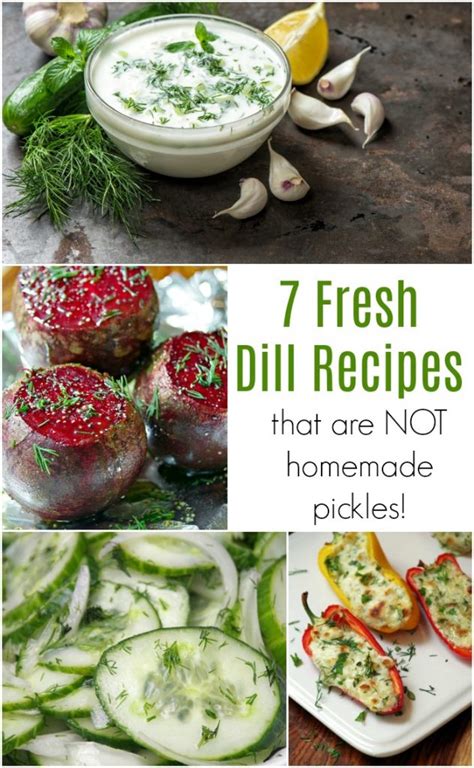 how-to-grow-dill-and-5-fresh-dill-recipes-suburbia image