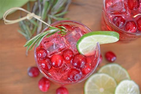holiday-cranberry-punch-holiday-cocktails image