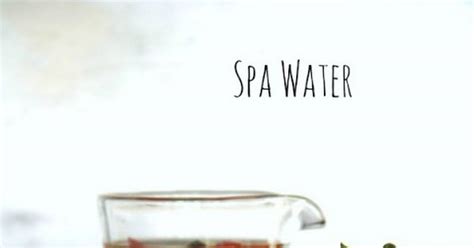 10-best-spa-water-recipes-yummly image