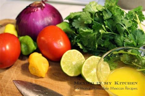 xnipec-salsa-mexican-food-recipes-easier-than-you-think image