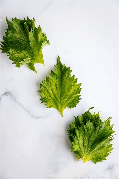 what-is-shiso-and-how-is-it-used-just-one-cookbook image