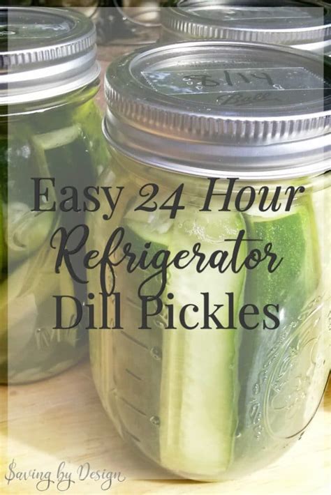 dill-pickle-recipe-easy-24-hour-refrigerator-dill-pickles image