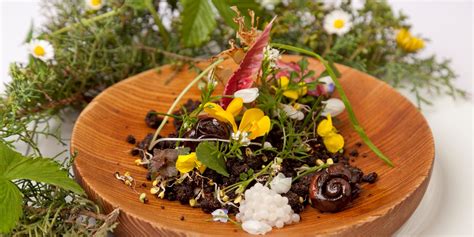 snail-recipes-great-british-chefs image