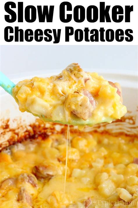 best-slow-cooker-cheesy-potatoes-the-typical-mom image