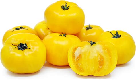 yellow-tomatoes-information-recipes-and-facts image
