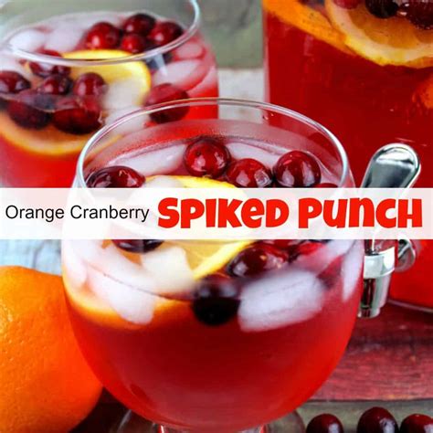 delicious-orange-cranberry-spiked-punch image