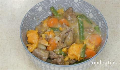 recipe-beef-and-sweet-potato-homemade-stew-for-dogs image