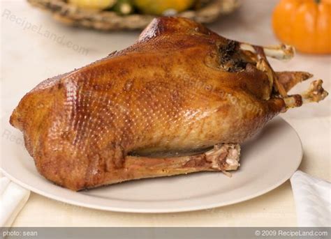 an-absolutely-perfect-roast-goose image