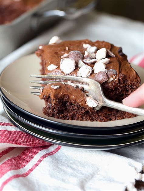 chocolate-malt-cake-with-malt-frosting-moist-chocolate image