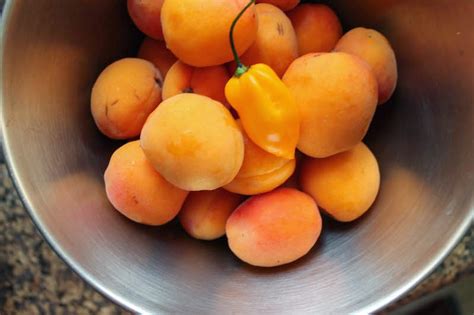 food-lust-people-love-apricot-habanero-jam-sundaysupper image