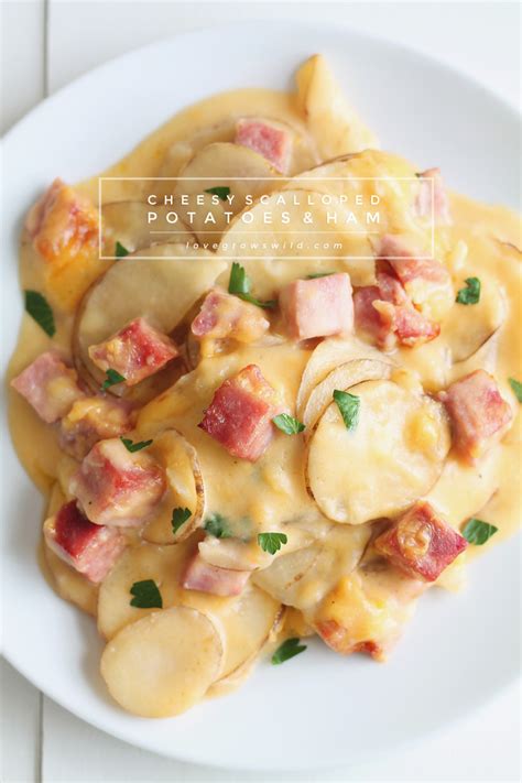 cheesy-scalloped-potatoes-with-ham-love-grows-wild image