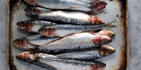 how-to-cook-sardines-great-british-chefs image