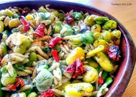 broad-bean-salad-recipe-with-orzo-turkeys-for-life image