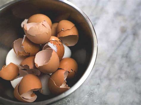 the-benefits-and-risks-of-eating-eggshells-healthline image