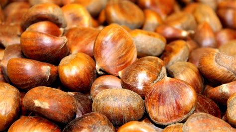 how-to-roast-chestnuts-and-enjoy-them-too-taste-of image
