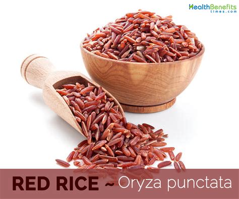 top-10-health-benefits-of-red-rice-food-as-medicine image