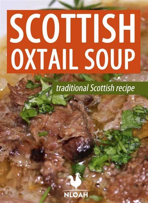scottish-oxtail-soup-new-life-on-a-homestead image
