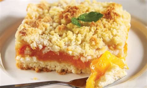 apricot-crumb-bars-from-brighton-gardens-of image