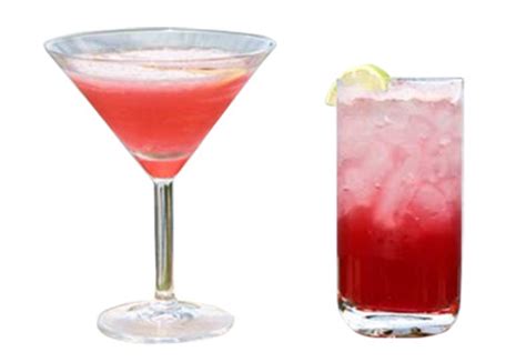 refreshing-hibiscus-drink-recipes-marx-foods-blog image