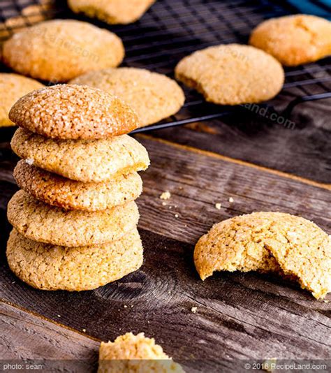 orange-and-ginger-cookies image