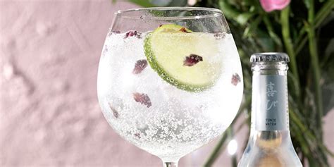 how-to-make-the-perfect-gin-tonic-bbc-good-food image