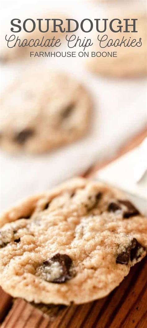 sourdough-chocolate-chip-cookies-farmhouse-on-boone image