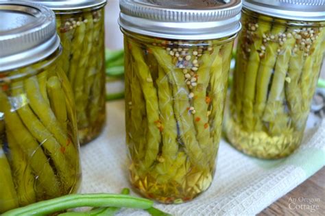 garlic-spiced-canned-pickled-beans-an-oregon-cottage image