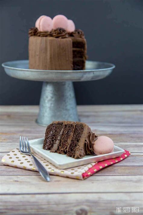 chocolate-cake-with-macarons-pint-sized-baker image