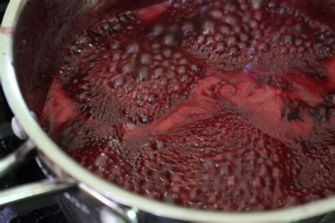 blackberry-jelly-recipe-without-pectin-practical-self image