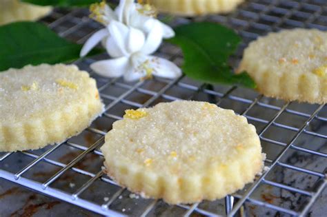 orange-blossom-shortbread-the-view-from-great-island image