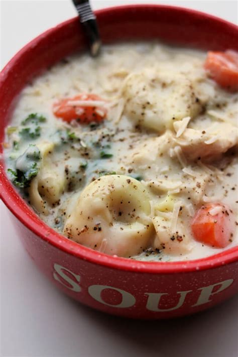 instant-pot-chicken-alfredo-tortellini-soup-365-days image