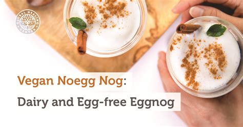vegan-noegg-nog-dairy-and-egg-free-eggnog-dr image