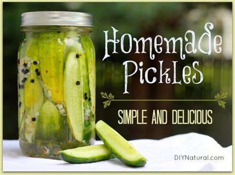 refrigerator-pickles-how-to-pickle-cucumbers-the image