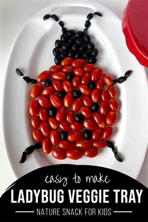 ladybug-appetizers-fun-snacks-for-kids-parties image