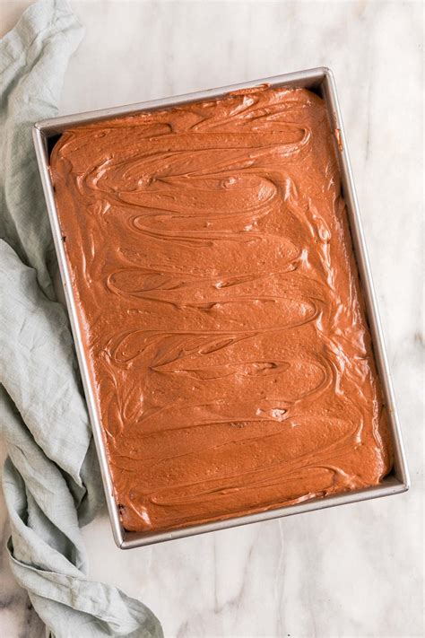 best-ever-chocolate-poke-cake-recipe-dinner-then image
