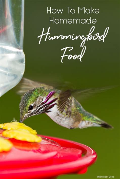 how-to-make-homemade-hummingbird-food image