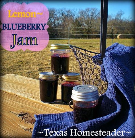 myo-lemon-blueberry-jam-without-added-pectin-texas image