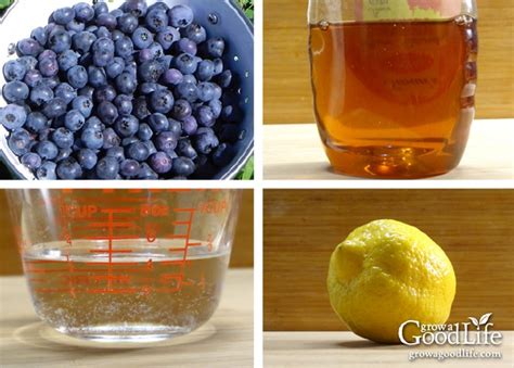 homemade-blueberry-syrup-with-honey-grow-a image