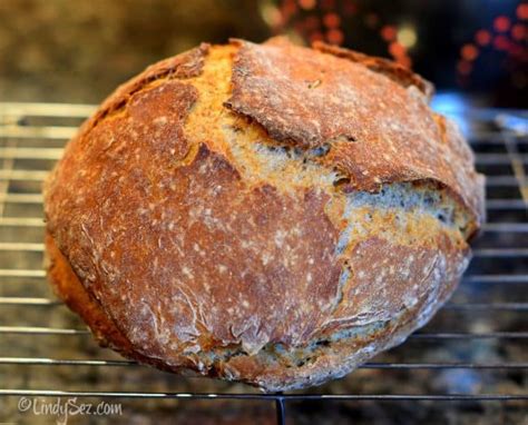 a-quick-no-knead-crusty-rye-bread-lindysez image