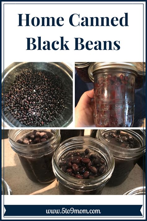 home-canning-black-beans-home-canned-black image
