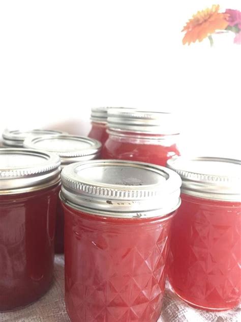 how-to-make-wild-plum-jelly-without-pectin-wisconsin image